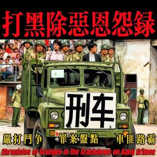 共和国往事：打黑除恶恩怨录