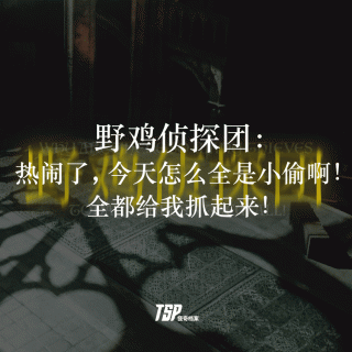 野鸡侦探团：热闹了，今天怎么全是小偷啊！全都给我抓起来！