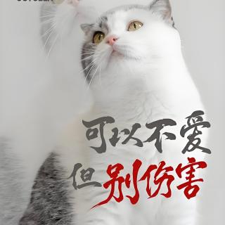 因举报虐猫遭开盒网暴的 “芝麻”：当正义成为“罪过”，我们还要继续伸张吗？