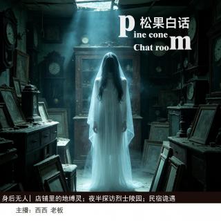 213.身后无人|听友投稿：店铺里的诡事；夜半探访烈士陵园；常在村里的怪物