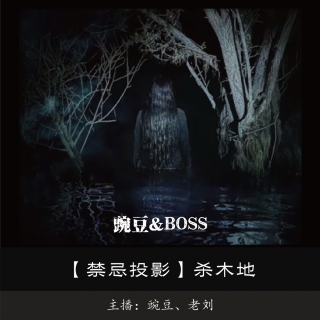 【禁忌投影】杀木地