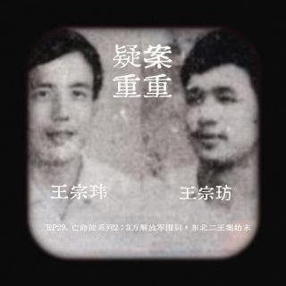 EP29.亡命徒系列2：东北二王案始末 ，新中国第一张悬赏通缉令发布，三万解放军