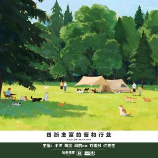 951.日渐丰富的宠物行业