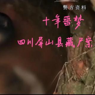 EP69.十年噩梦-四川屏山县藏尸案