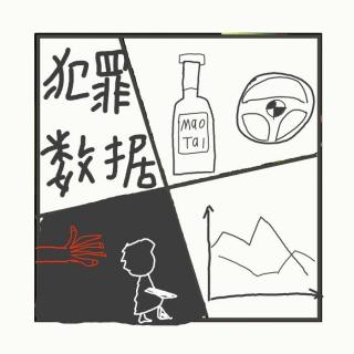532.中国刑案20年变化