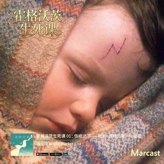 霍格沃茨生死课 01：伤疤之下——哈利·波特的第一个秘密