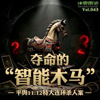 Vol.043 | 夺命的“智能木马”：平舆11.12特大连环杀人案