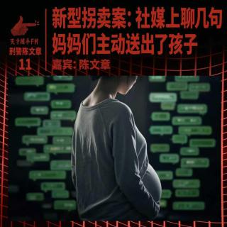 新型拐卖案：社媒上聊几句，妈妈们主动送出了孩子 | 刑警陈文章11