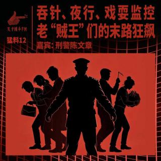 【猛料12】吞针、夜行、戏耍监控，老“贼王”们的末路狂飙 ｜ 刑警陈文章12
