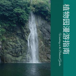 植物园漫游指南｜天台二锅头vol.288
