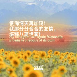 恨海情天再加码！我那分分合合的友情，堪称八离世家！