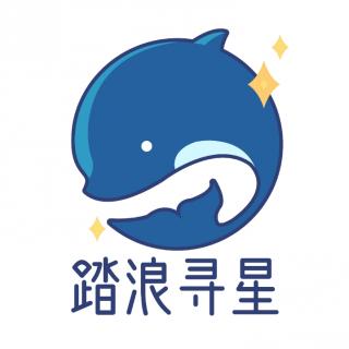 踏浪寻星FM