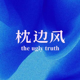 枕边风 theuglytruth