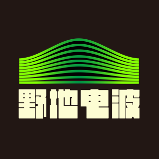 野地电波
