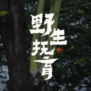 野生抚育